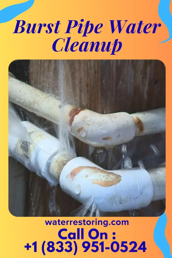 Burst Pipe Water Cleanup in Windy Hills, KY