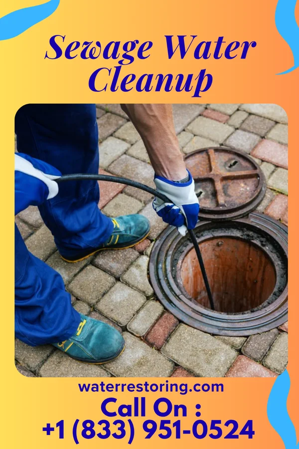 Sewage Water Cleanup in Windy Hills, KY