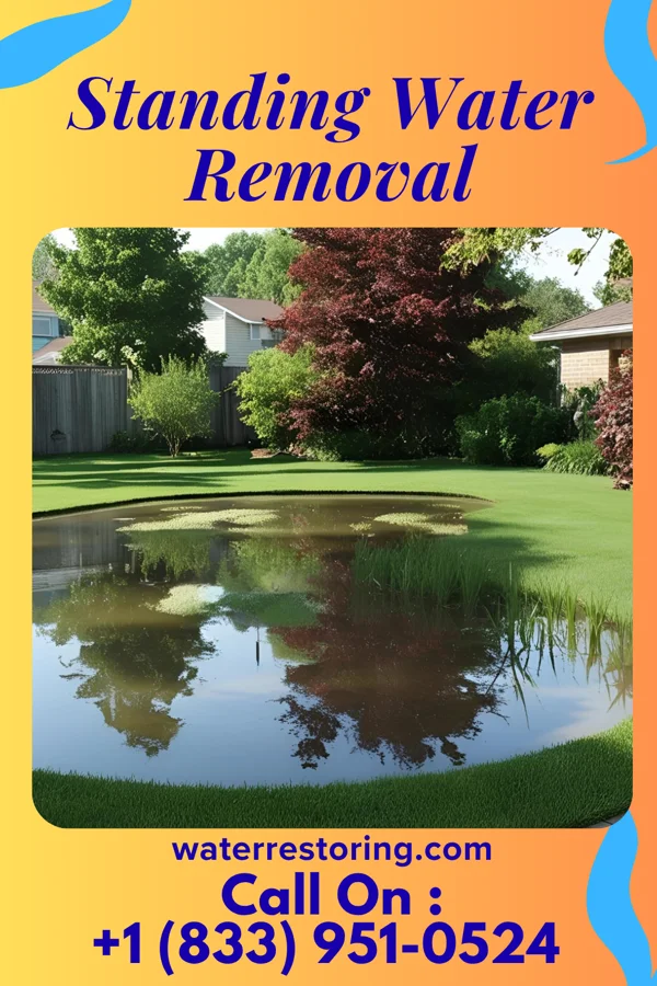 Standing Water Removal in Windy Hills, KY